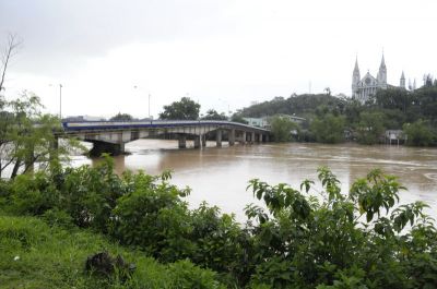img009MD.jpg