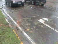 dsc00120PQ.jpg