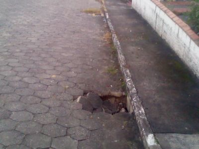 1204101805MD.jpg