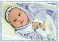 vanda800x570PQ.jpg