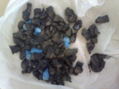 76crackitajaiMD.jpg