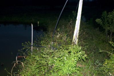 img5275MD.jpg