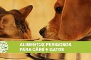 O perigo dos alimentos