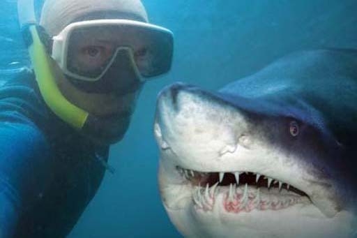 10 selfies que deram muito errado