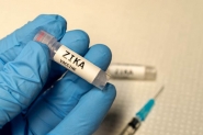 Butantan espera testar vacina de zika em humanos em dois meses
