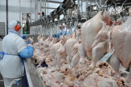 Unio Europeia probe 20 frigorficos brasileiros de exportar frango para a regio