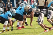 Black Hawks enfrenta Timb Rex pela Liga Brasileira de Futebol Americano