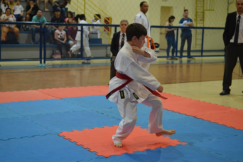 Gaspar conquista 16 medalhas no Campeonato Catarinense de Karat