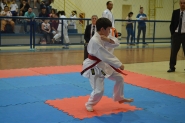 Gaspar conquista 16 medalhas no Campeonato Catarinense de Karat