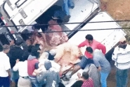 Caminho carregado de carne  saqueado aps tombar em SP