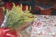 Mulher fica ferida aps receber buqu de flores com bomba escondida