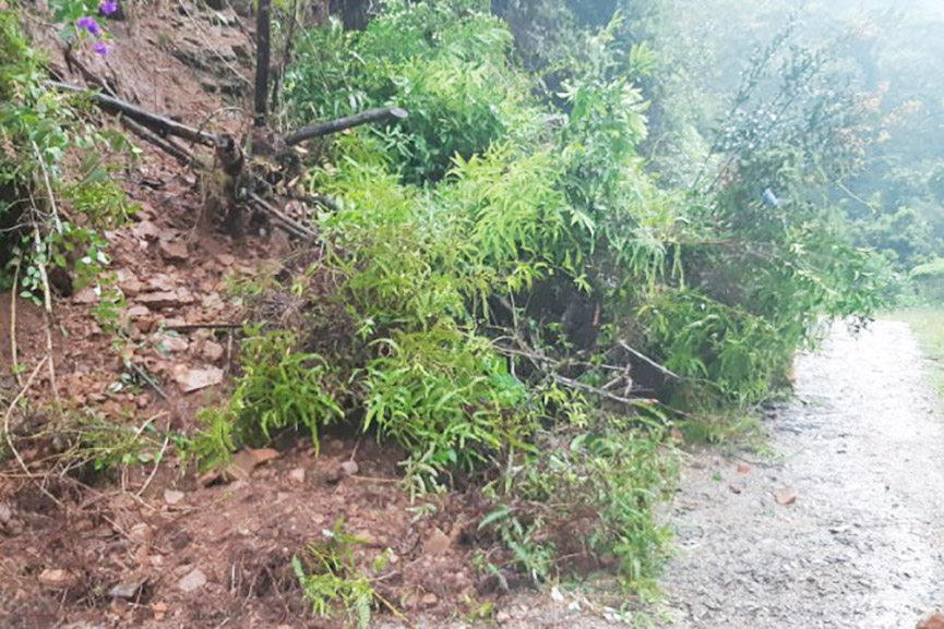 Blumenau registra mais de 50 ocorrncias causadas pelas chuvas