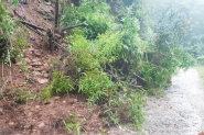 Blumenau registra mais de 50 ocorrncias causadas pelas chuvas
