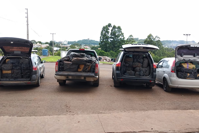 Polcia Civil incinera mais de duas toneladas de maconha no Oeste de SC