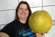 Mulher colhe laranja com mais de 3kg no quintal de casa, em Joinville