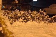 SC registra neve pelo terceiro dia consecutivo