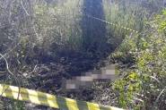 Cabea humana  encontrada em mata no Norte de SC