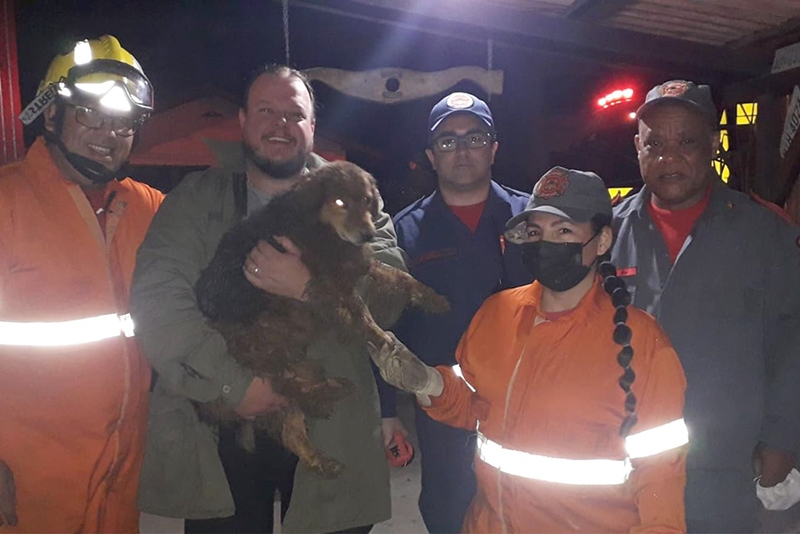 Bombeiros de Gaspar salvam cachorro soterrado no bairro Margem Esquerda