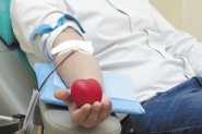 Hemosc adota novos critrios de doao de sangue para quem teve Covid-19