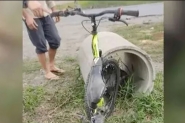 Menino tem perna amputada aps ser atropelado por carreta na BR-470, no Vale do Itaja