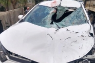 Cavalo morre aps ser atropelado por carro em Itaja