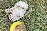 Trabalhador sofre queimaduras aps choque em fiao de alta tenso em Navegantes