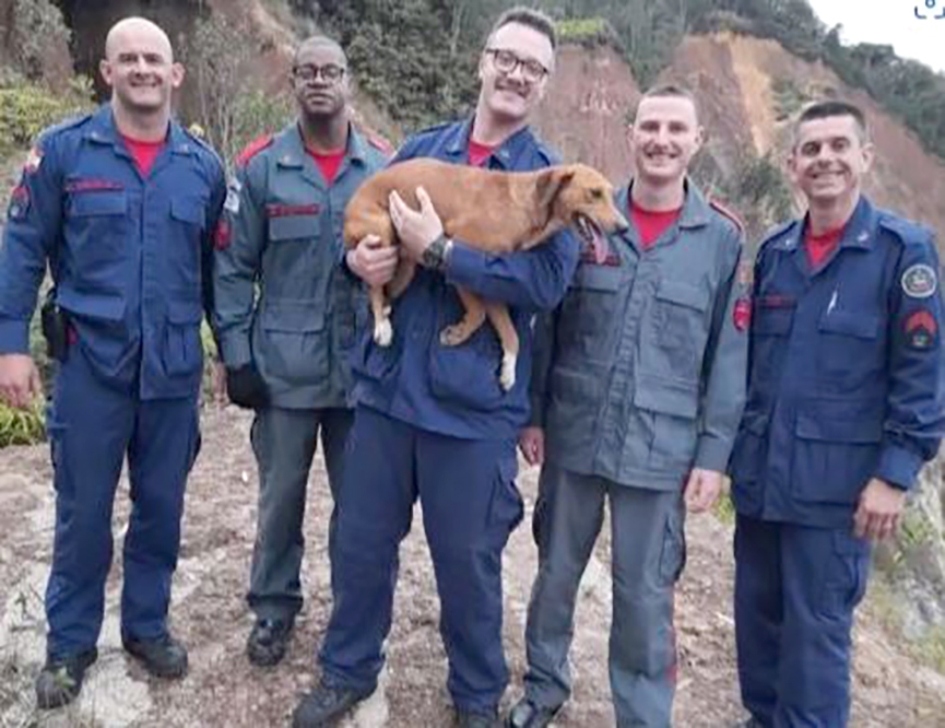 Co  socorrido aps cair em ribanceira em Brusque