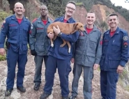 Co  socorrido aps cair em ribanceira em Brusque
