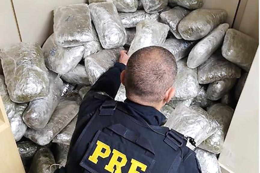 'Supermaconha'  localizada em fundo falso de caminho na BR-101, em Porto Belo