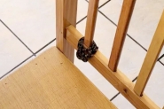 Cobra enrolada em cadeira de restaurante  resgatada em Jaragu do Sul