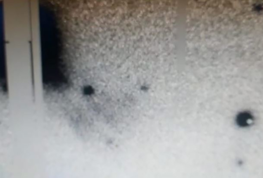Estudantes de SC descobrem novos asteroides em concurso da Nasa