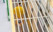 Justia libera 250 presos aps risco de alagamento na penitenciria de Itaja
