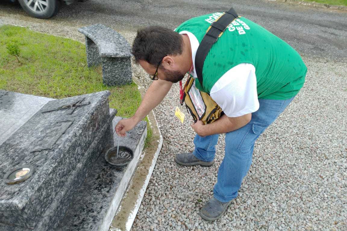 Gaspar tem 768 focos do mosquito transmissor da dengue