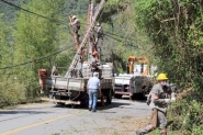 Vereadora pede que Procon cobre da Celesc poda de rvores no Distrito do Belchior, em Gaspar