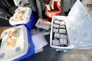 Santa Catarina soma 900 bolsas de sangue enviadas ao Rio Grande do Sul
