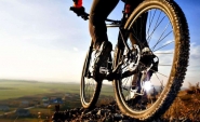 Linha do tempo traa a histria da bicicleta
