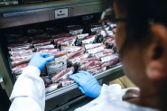 Hemosc celebra 37 anos com mais de 2 milhes de bolsas de sangue coletadas e transfundidas