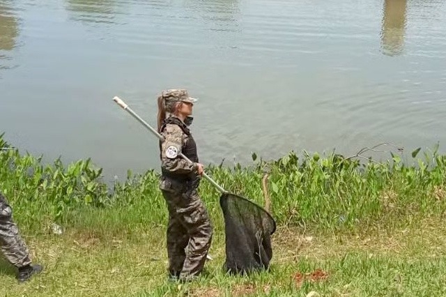 Jacar  solto por argentino em lago usado por banhistas no Oeste de SC