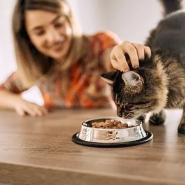 Saiba quatro caractersticas inusitadas sobre o mundo animal