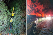 Bombeiros levam quatro horas para combater grande incndio em vegetao em Gaspar