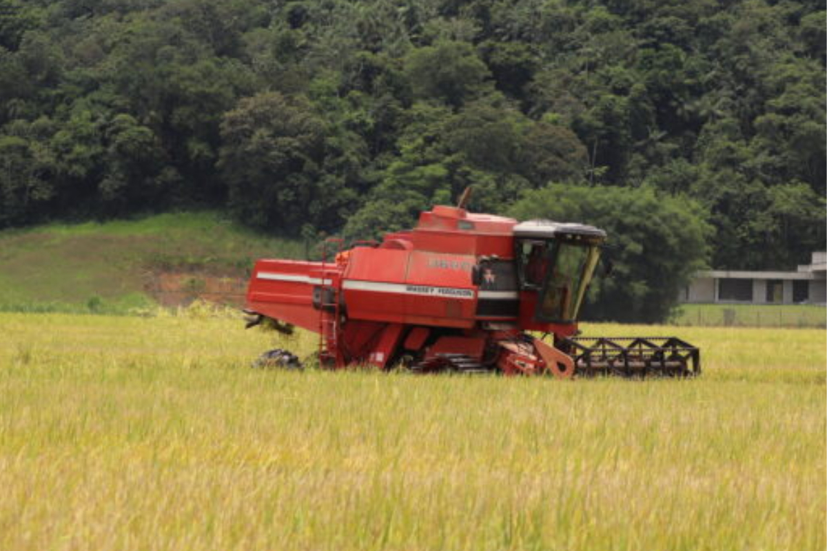 Atendimento da Epagri volta a ser dirio em Gaspar