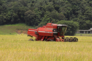 Atendimento da Epagri volta a ser dirio em Gaspar