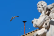 Chamin que vai anunciar novo Papa  instalada na Capela Sistina