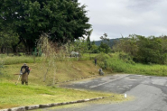 Prefeito Koerich faz balano dos seis meses de governo na Sade, Educao, Obras e outras reas