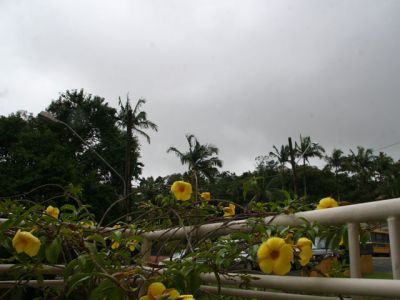 img6480MD.jpg