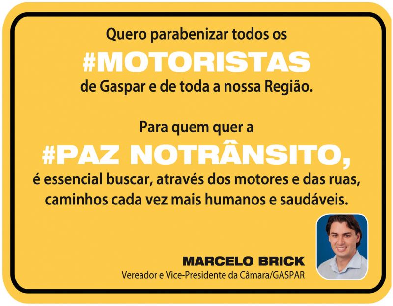 vereadormarcelobrick3x10GG.jpg