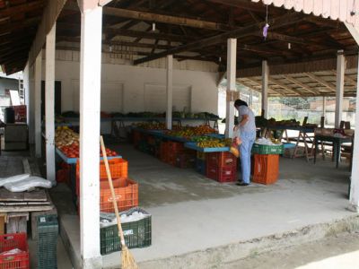 img4141MD.jpg