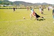 Treze equipes vo dar adeus  Taa DL Cor