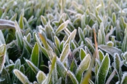Urupema registra a temperatura mais baixa de 2016