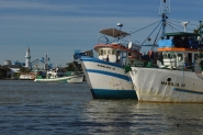 Pescadores interrompem acesso aos portos de Itaja e Navegantes